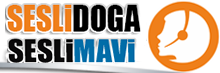 SesliDoga.Com, Sesli Sohbet,Mobil,Sesli Chat,Sesli Siteler